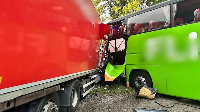 flixbus dtp 08