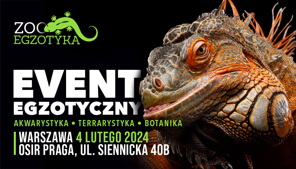 ZooEgzotyka