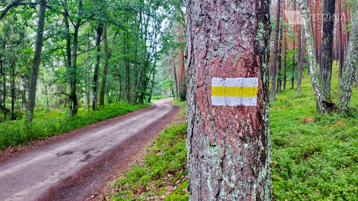 Веломаршрут вдоль Балтики в Польше – Velo Baltica EuroVelo R10