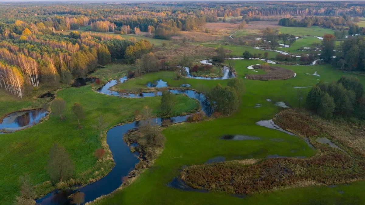 bolimowski park narodowy