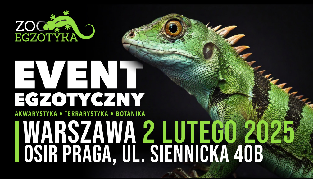 ZOOEGZOTYKA WARSZAWA 02 02 2025