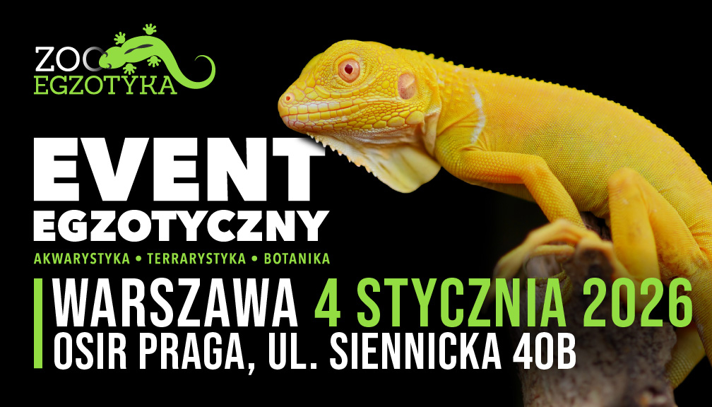 zooegzotyka