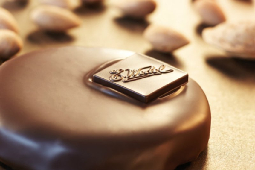 wedel logo2