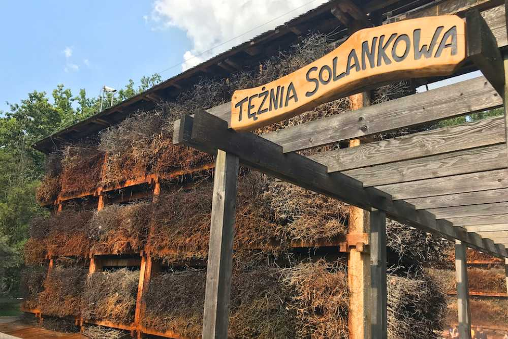teznia solankowa 2 Konstancin
