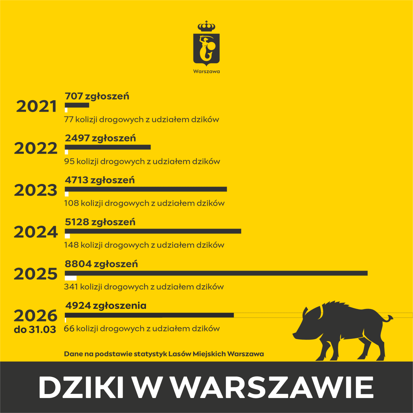 dziki UM Warszawa
