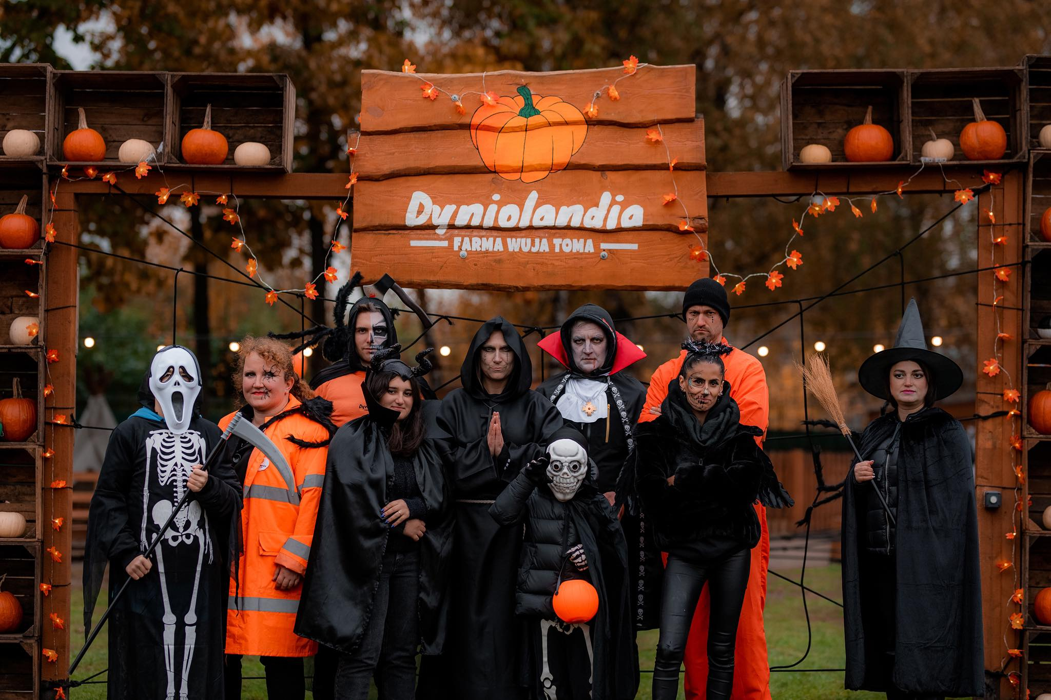 Dyniolandia