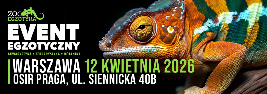 zooegzotyka