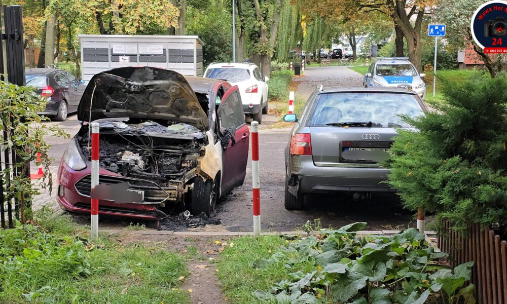 pozhar sas 5