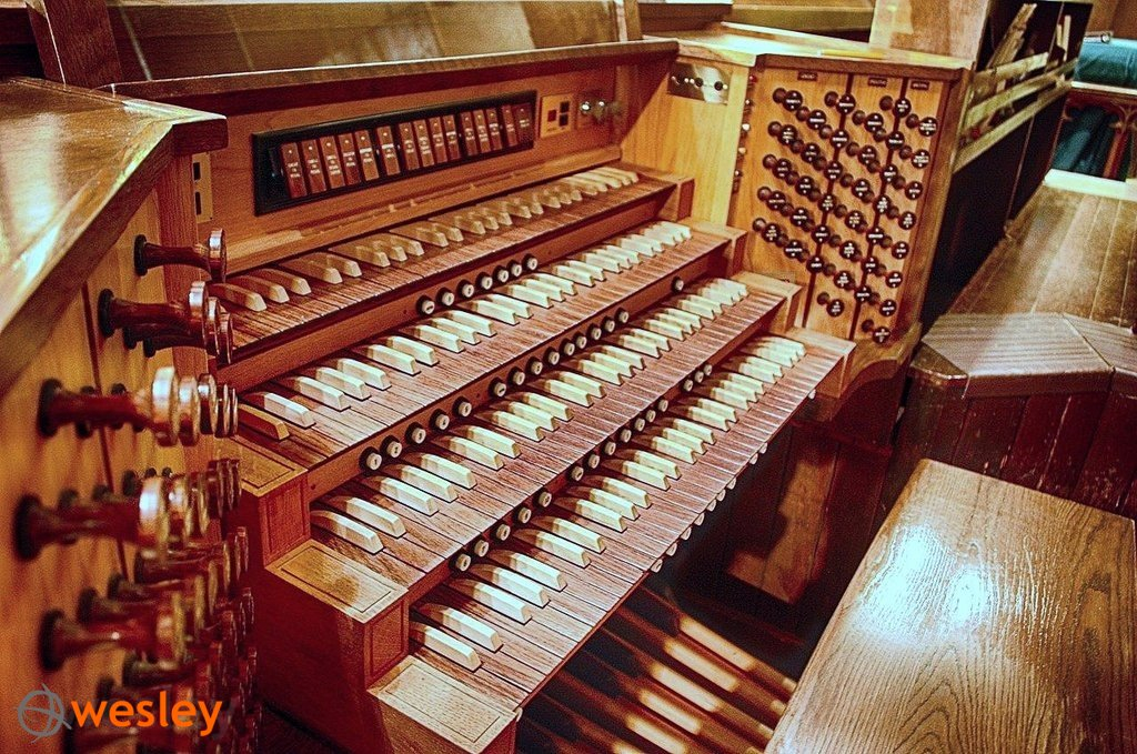 koncerty organowe