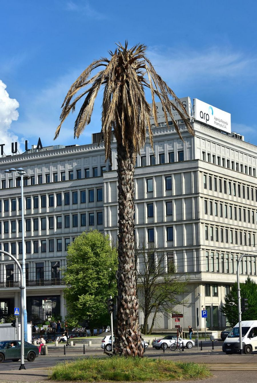 palma warszawa 2024 07